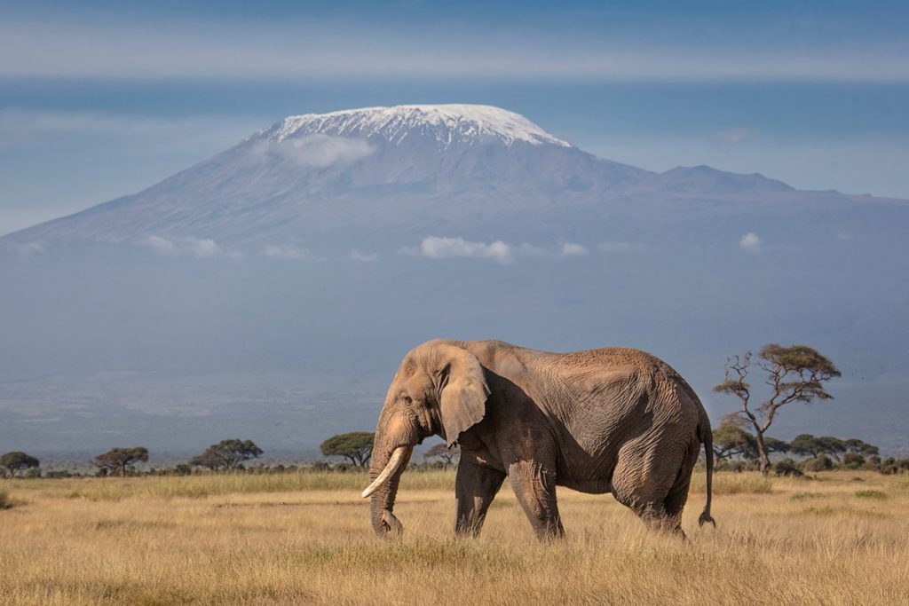 From Kenya, you can also see Mt. Kilimanjaro, Africa's highest mountain