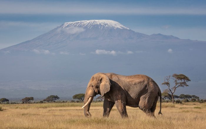 From Kenya, you can also see Mt. Kilimanjaro, Africa's highest mountain