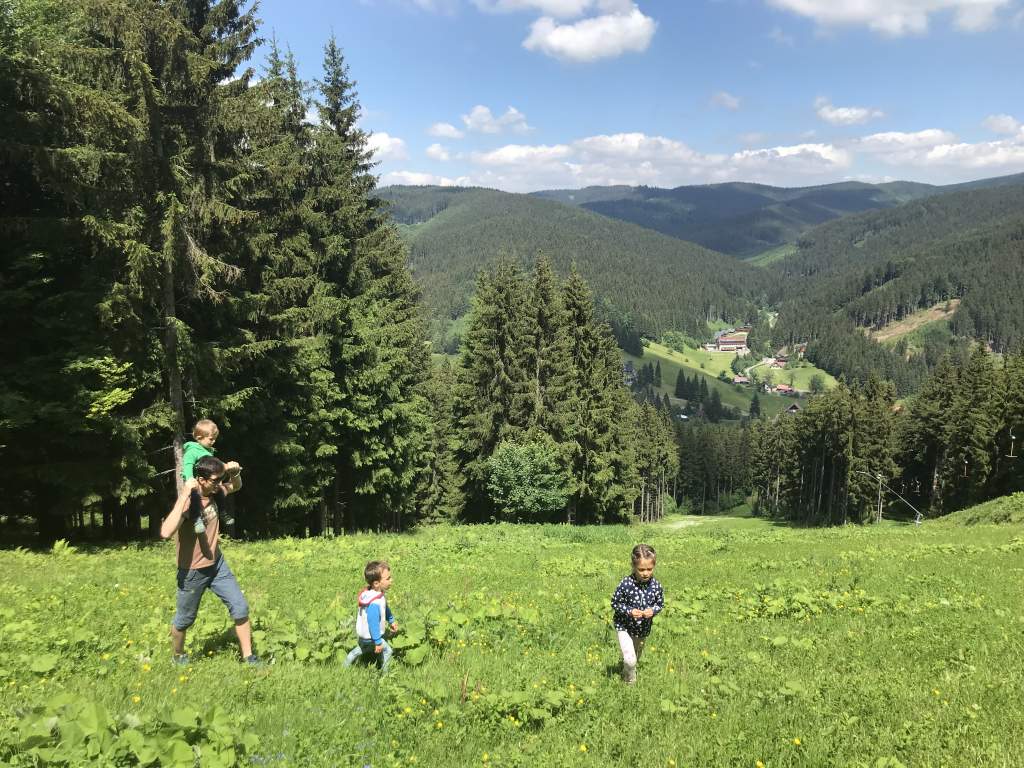 Stezka Portáš Maliny za Lesni zveri 1