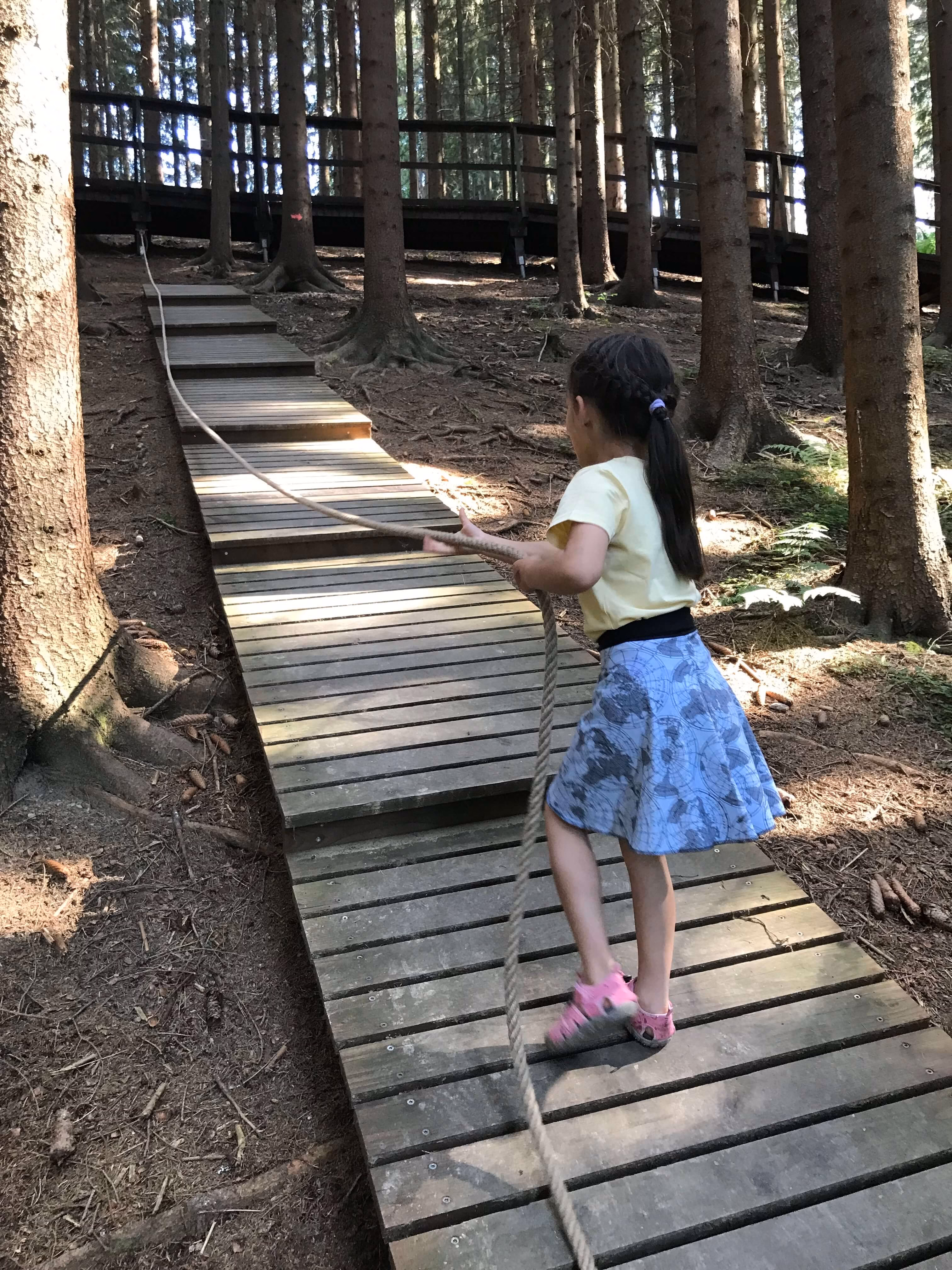 Dr. Elinger's Cardio Trail