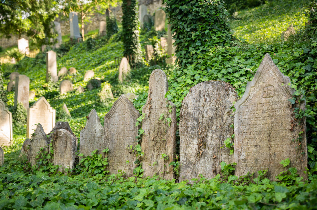 Jewish Cemetery in Třebíč, Vysočina, Czech Republic