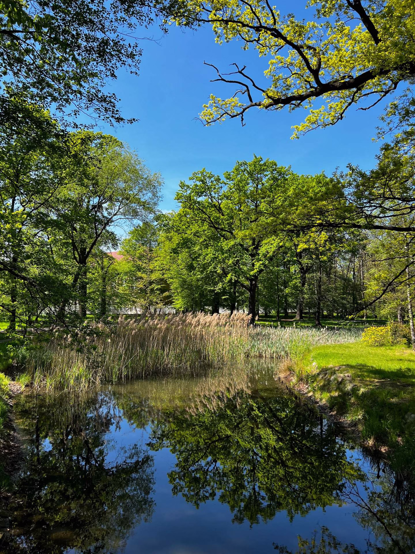 Park Szczytnicki