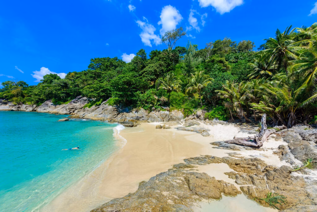 Freedom Beach Phuket with fine white sand, turquoise water, palm trees and rocky coastline under a blue sky. A person is swimming in the sea.