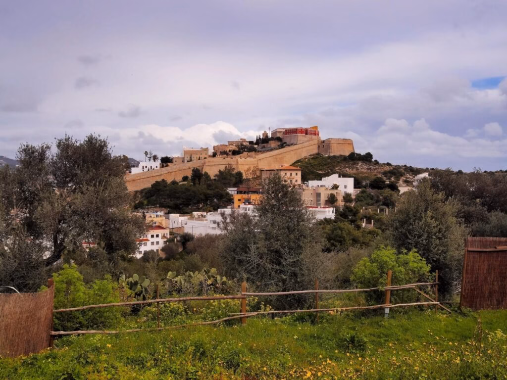 Puig des Molins archaeological site