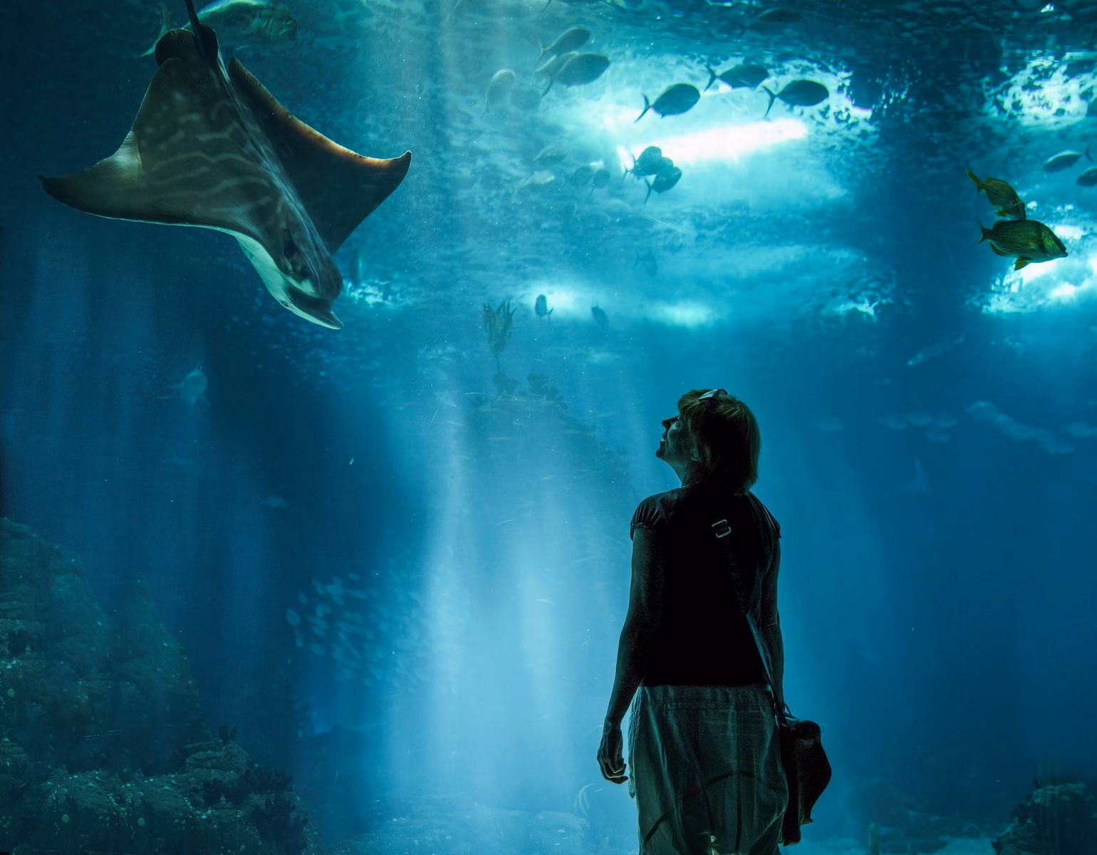 Oceanário de Lisboa