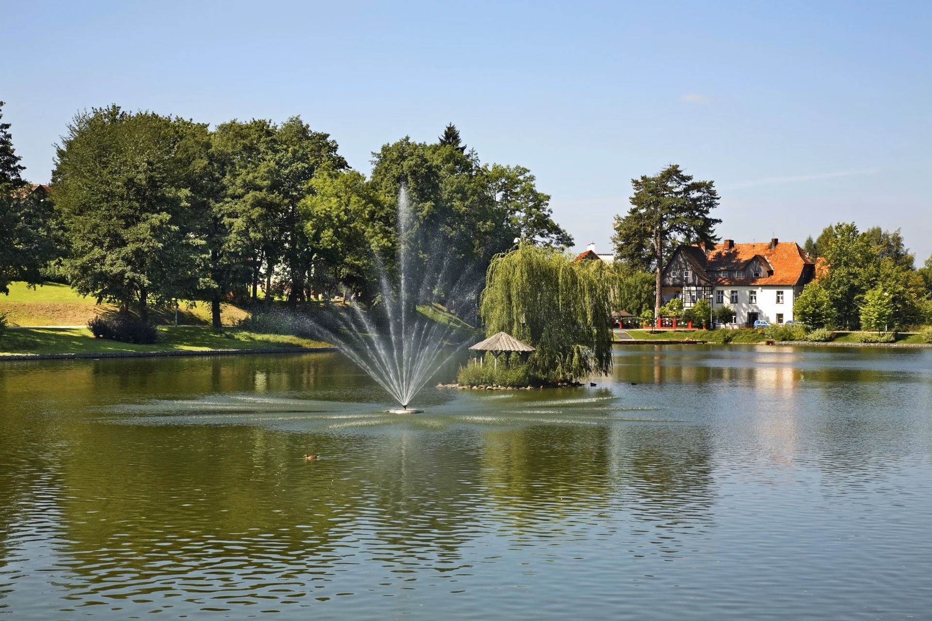 Pond with a fountain and a weeping willow in Park Zdrojowy in Kudowa-Zdrój