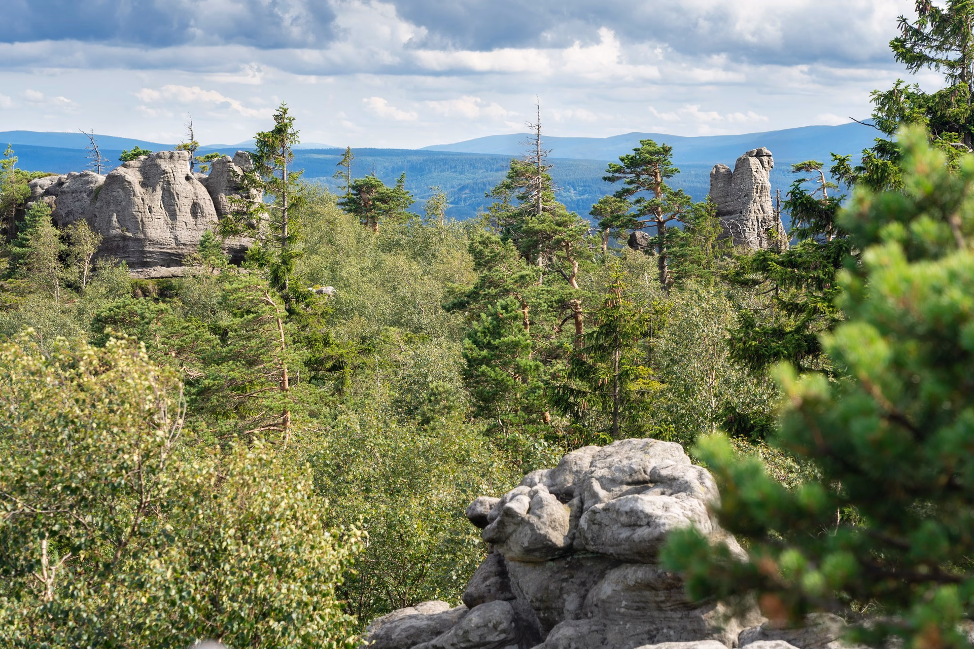 Aerial view of the forested rocky ridge of the Table Mountains