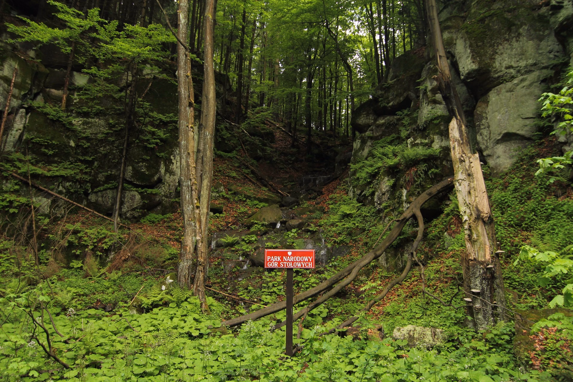 Forest trail with a Góry Stołowe National Park sign