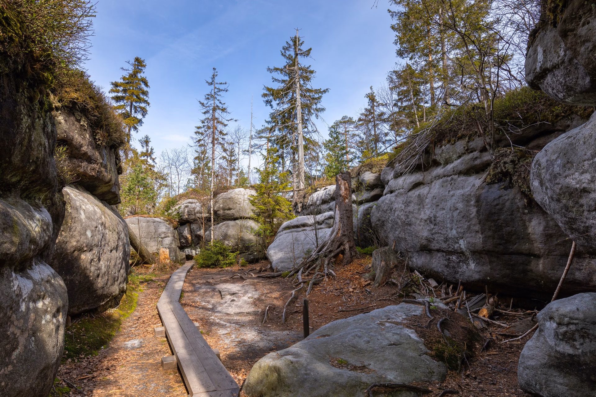A wooden walkway in the labyrinth of the Errant Rocks (Błędne Skały)