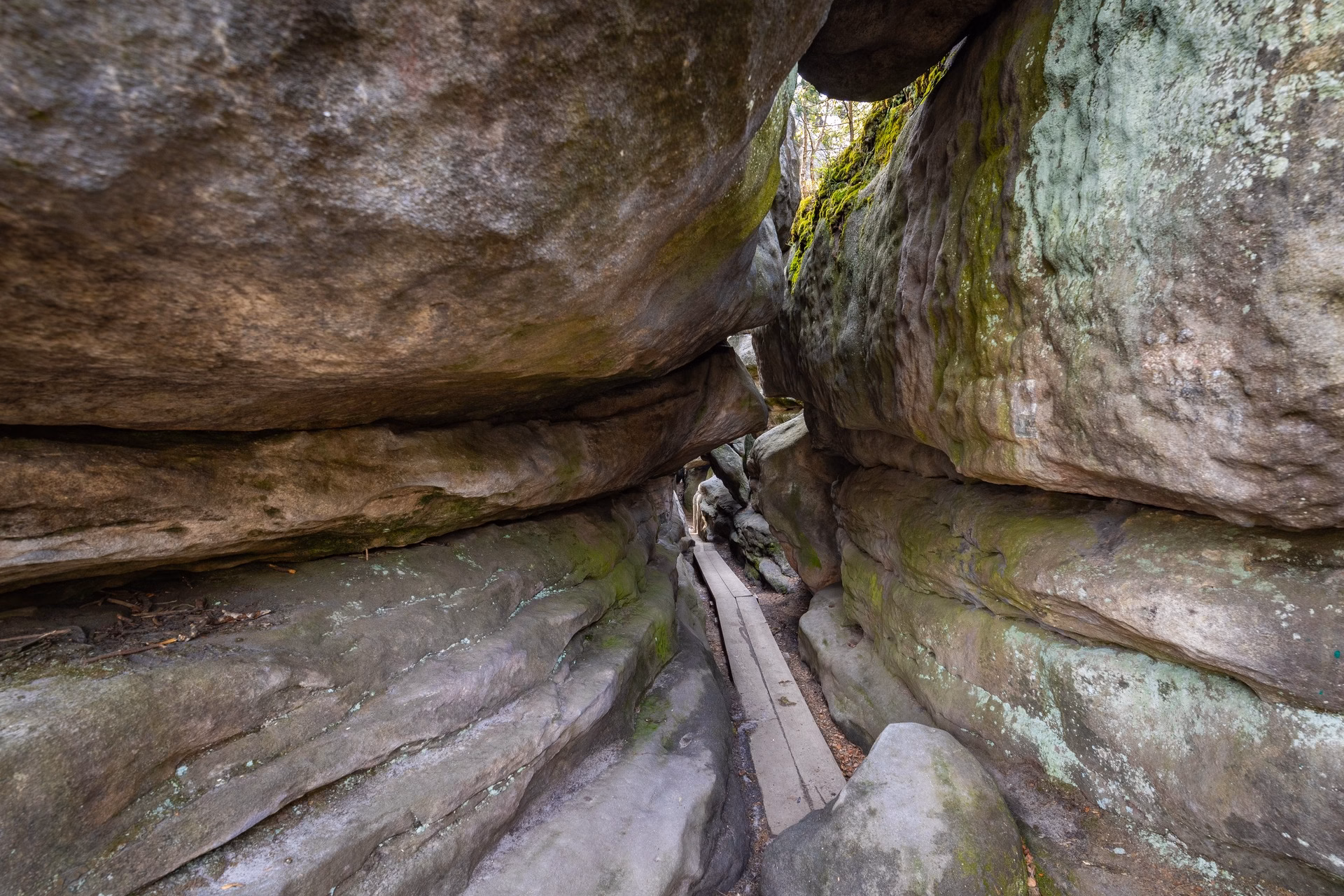 A narrow rock passage in the Błędne Skały labyrinth in the Table Mountains