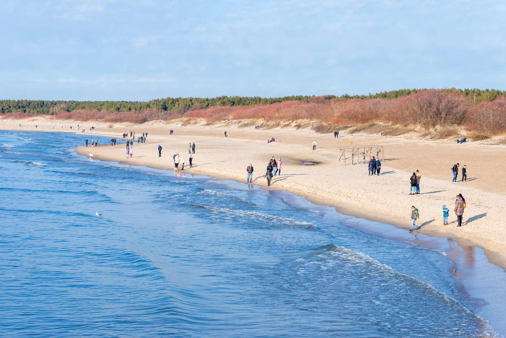 Sandy beach in Palanga with people walking along the Baltic Sea