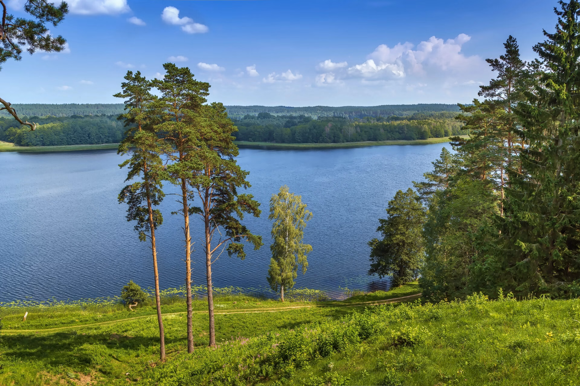 Lake Linkmenas seen from Ladakalnis hill in Aukštaitija National Park