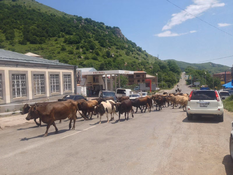 Traffic on a main street in Armenia, showing cars and marshrutkas