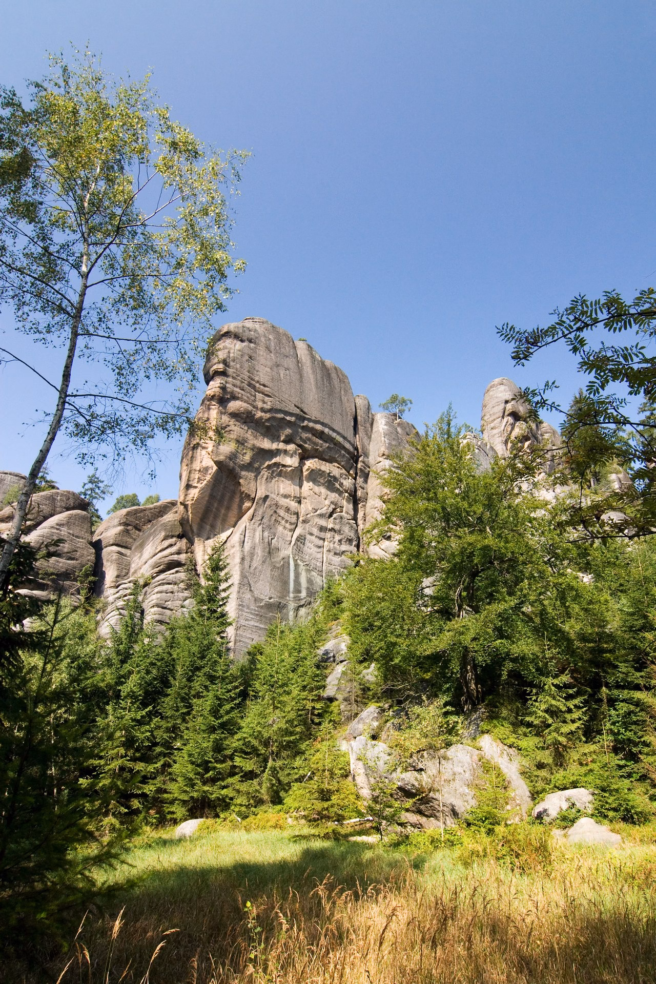 Rock towers of the Broumov Walls above a coniferous forest