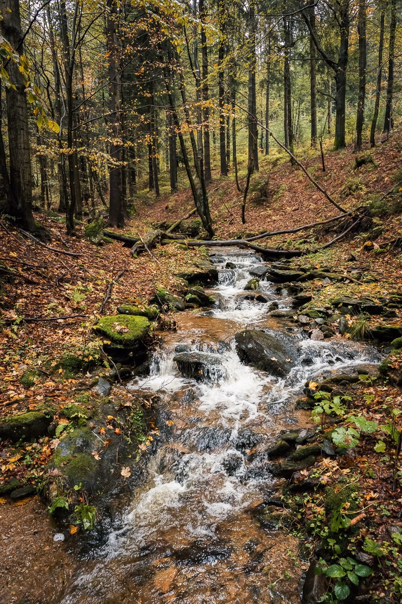 Autumn stream with cascades in a beech forest in the Eagle Mountains