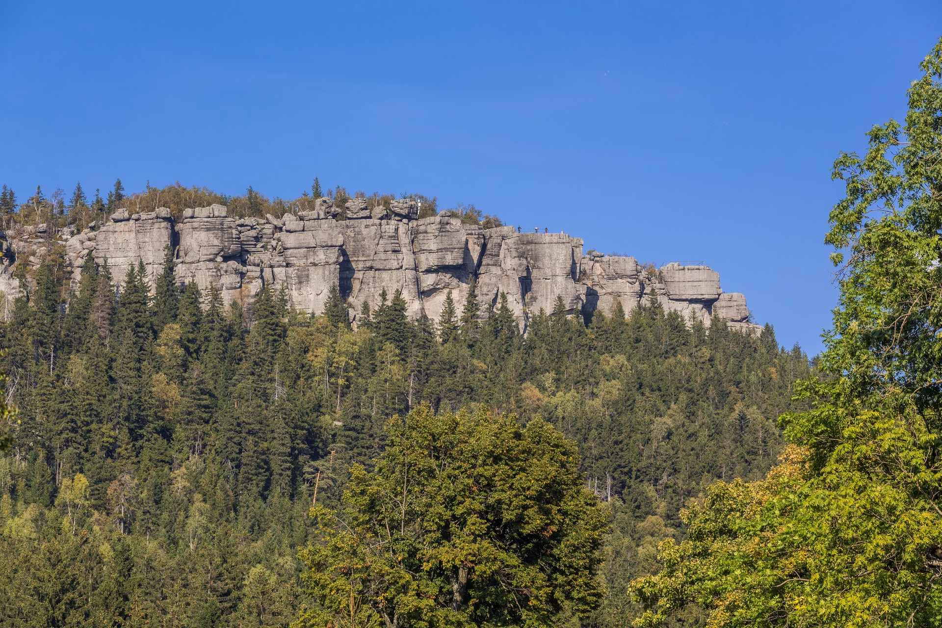Sandstone ridge of Szczeliniec Wielki, the highest peak in the Table Mountains