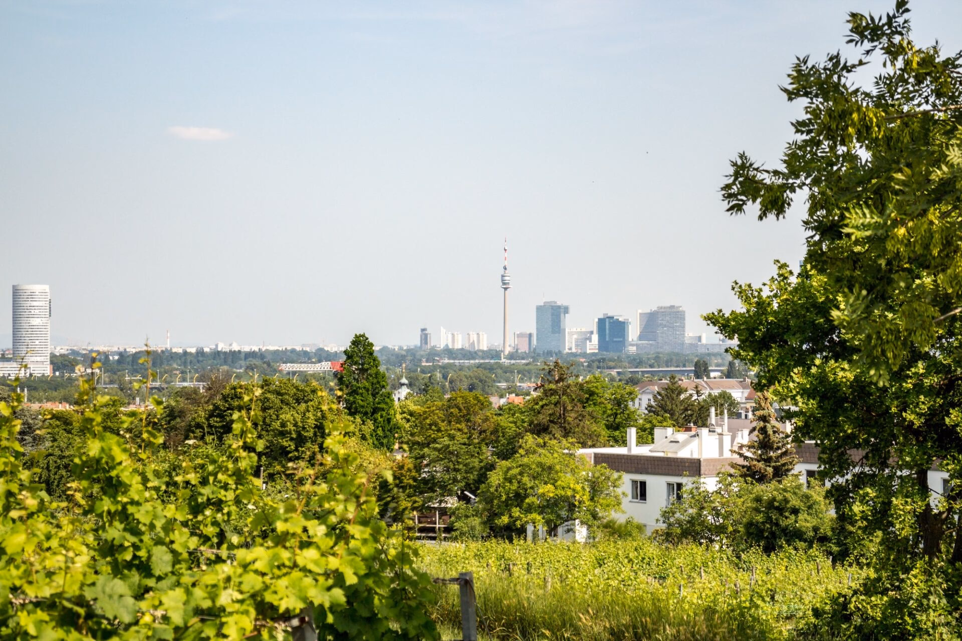 Uitzicht over de wijngaarden richting de skyline van Wenen en de Donau