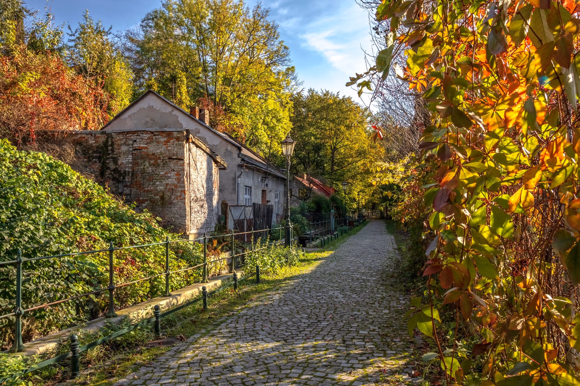 Cieszyn Venice, cottages with little bridges over the Młynówka canal in autumn